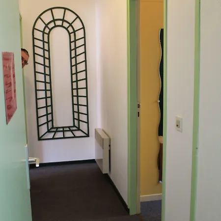 Montilleul - Primrose