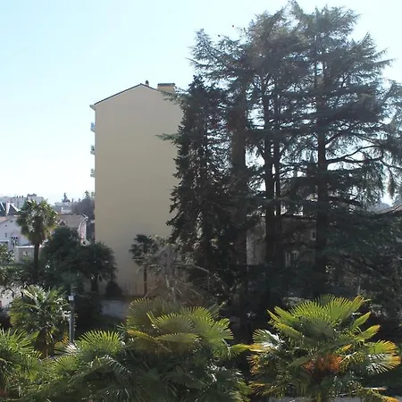 Montilleul - Primrose