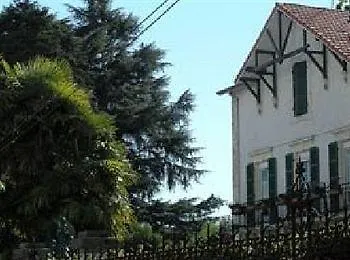 Montilleul - Primrose